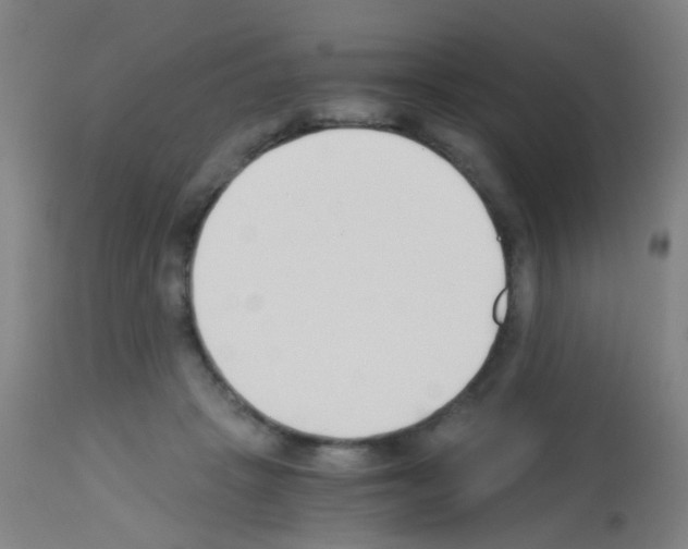 X0000113170457200910161311