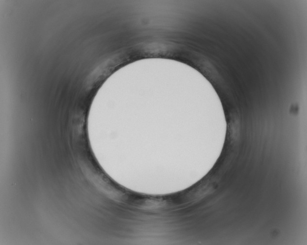 X0000113170458200910161311