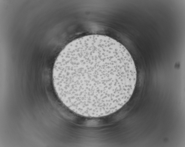 X0000113170461200910161311