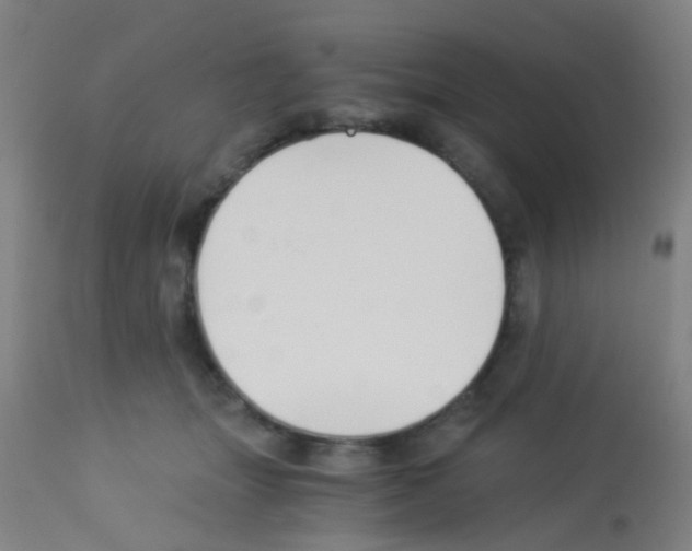 X0000113170463200910161311