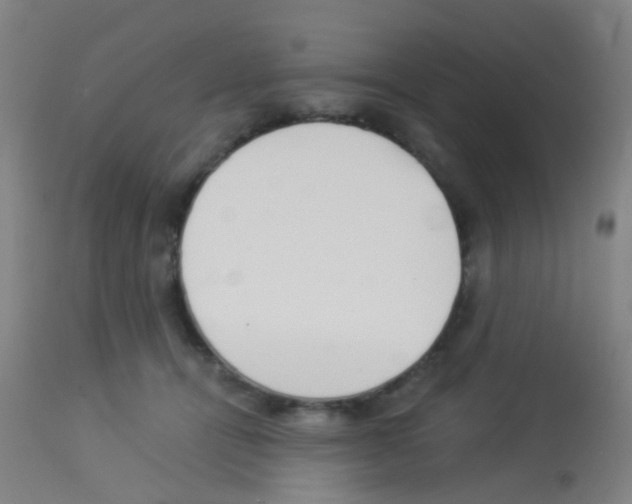 X0000113170464200910161311
