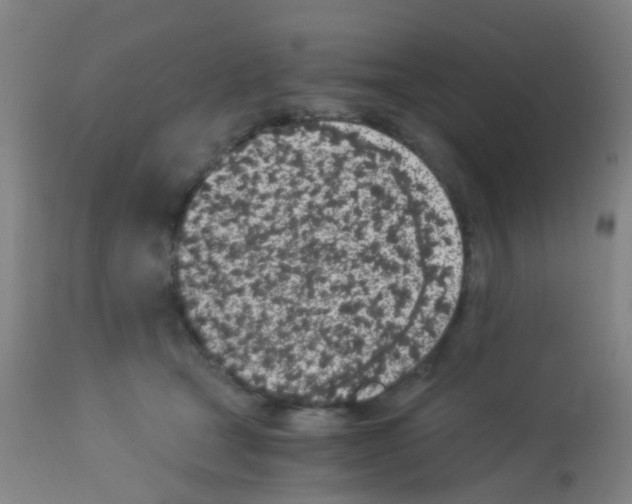 X0000113170465200910161311