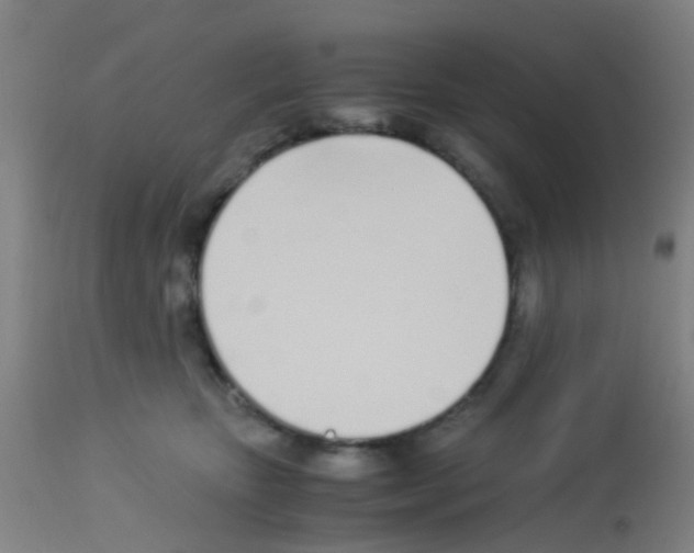 X0000113170467200910161312