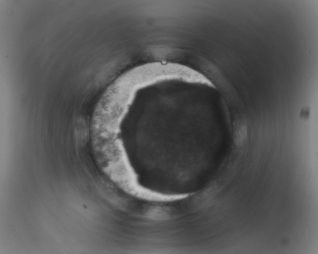X0000113170471200910161312
