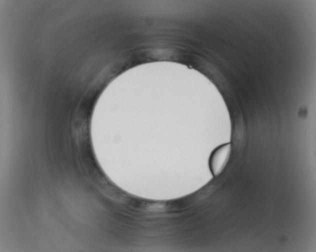 X0000113170473200910161312