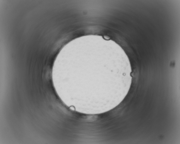 X0000113170474200910161312