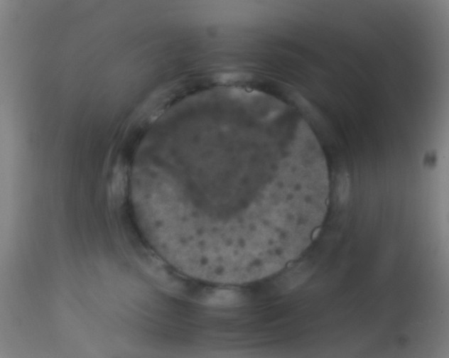 X0000113170475200910161312