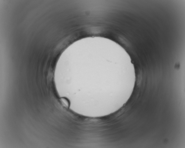 X0000113170476200910161312
