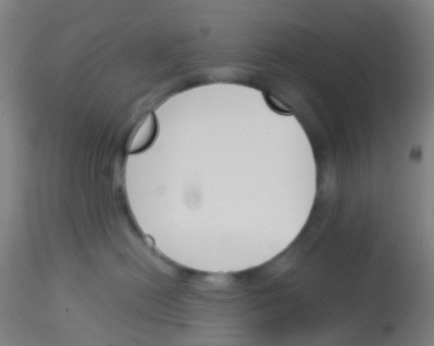 X0000113170478200910161312