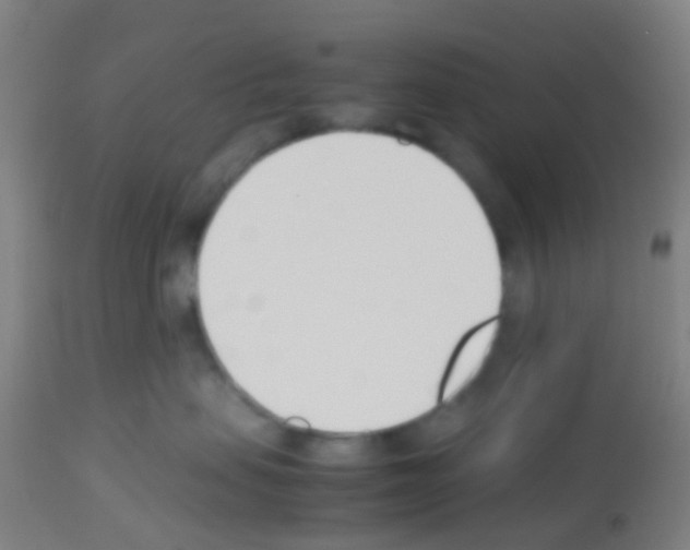 X0000113170479200910161312