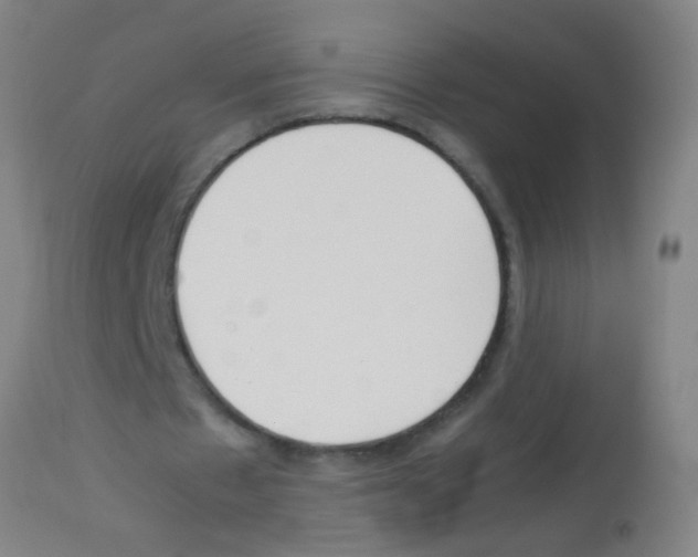 X0000113170481200910161311
