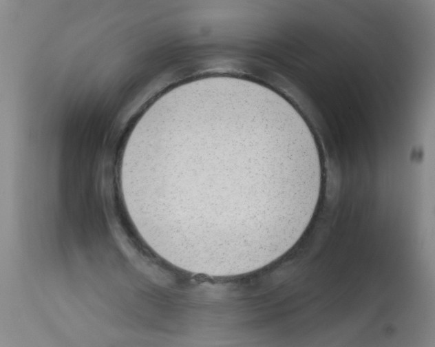 X0000113170482200910161311
