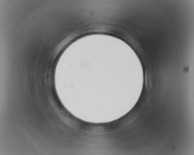 X0000113170483200910161311