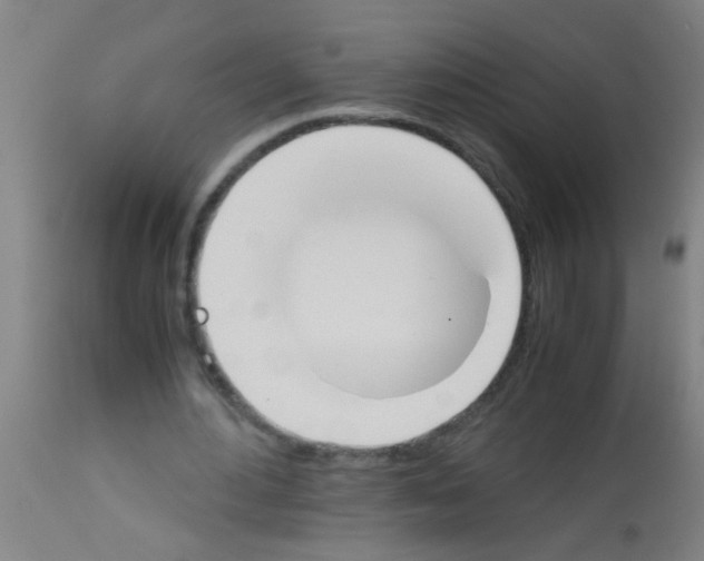 X0000113170484200910161311