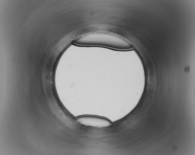 X0000113170485200910161311