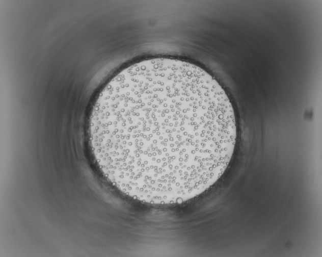 X0000113170487200910161311