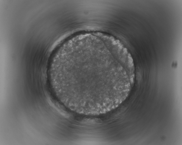 X0000113170488200910161311