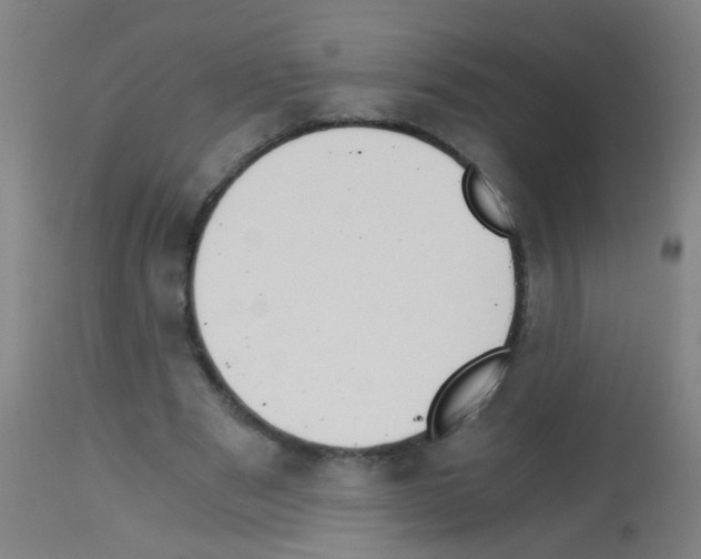 X0000113170489200910161311