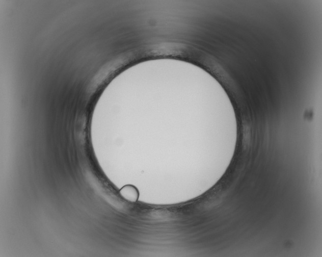 X0000113170490200910161311