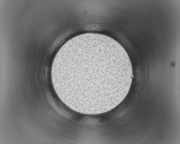 X0000113170491200910161311