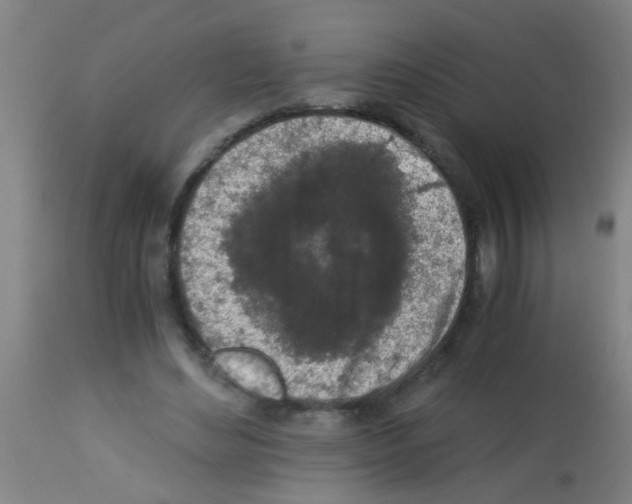 X0000113170492200910161311