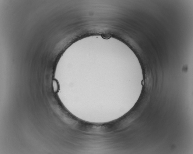 X0000113170493200910161311