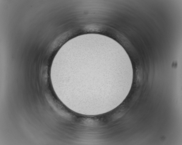 X0000113170494200910161311