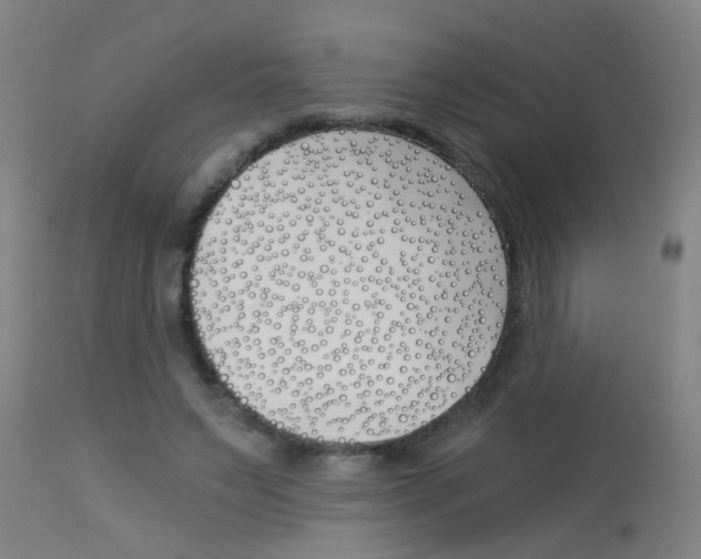 X0000113170495200910161311