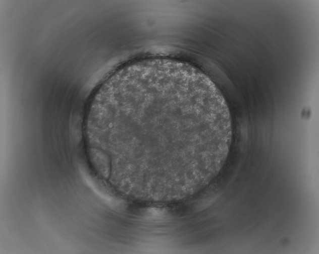 X0000113170496200910161311