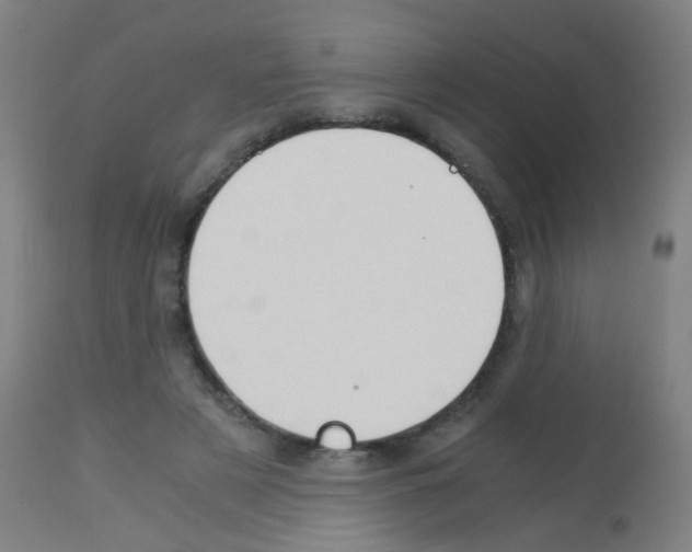 X0000113170497200910161311