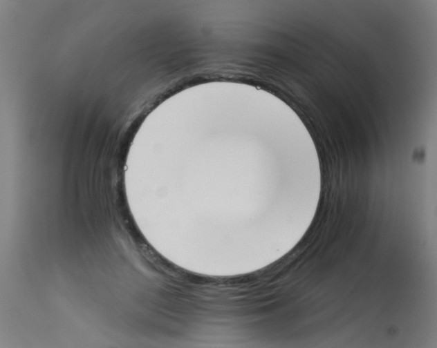 X0000113170500200910161311