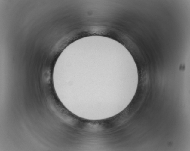 X0000113170502200910161311
