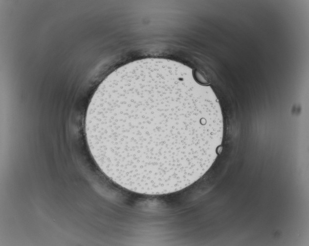 X0000113170503200910161311