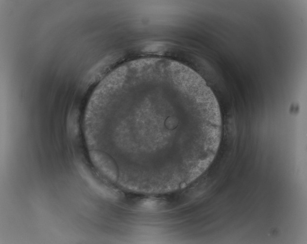 X0000113170504200910161311