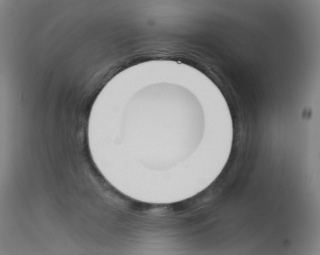 X0000113170505200910161311