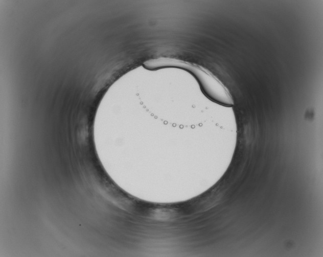 X0000113170508200910161310