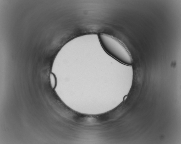 X0000113170509200910161310