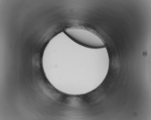 X0000113170512200910161310