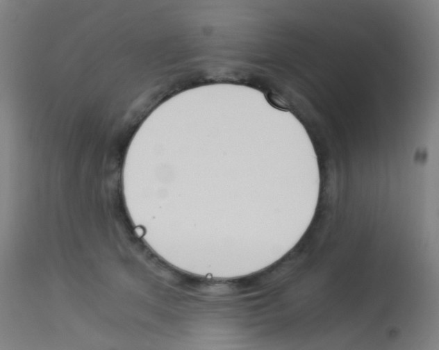 X0000113170513200910161310