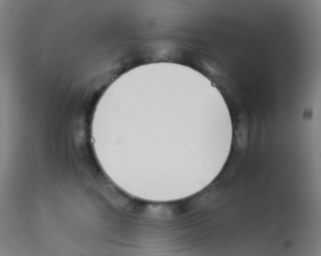 X0000113170520200910161310