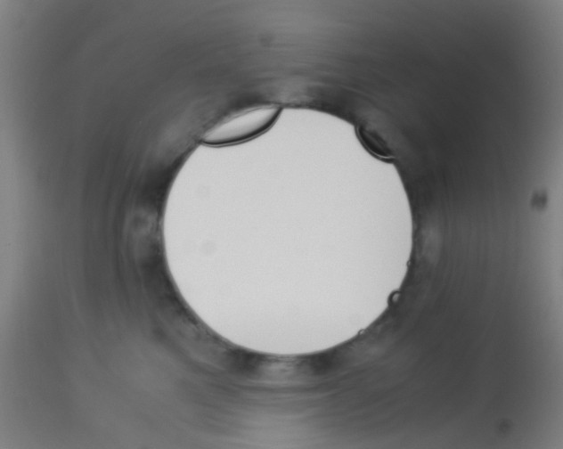 X0000113170521200910161310