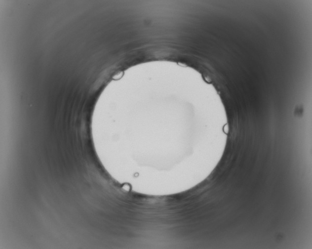 X0000113170524200910161310