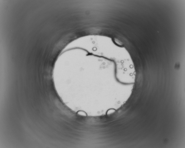 X0000113170525200910161310