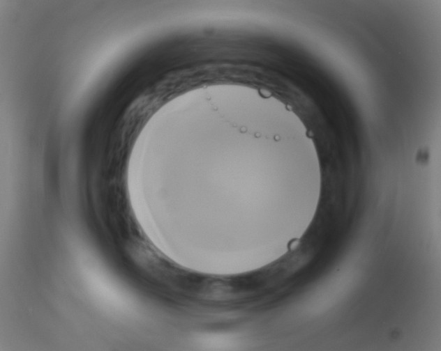 X0000113170526200910161310