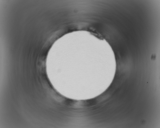 X0000113170527200910161310