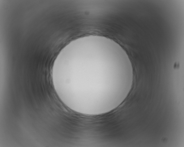 X0000113170528200910161310