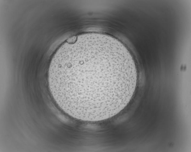 X0000113170529200910161310