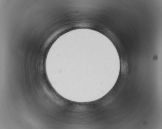 X0000113170531200910161310