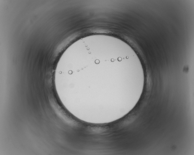 X0000113170533200910161310