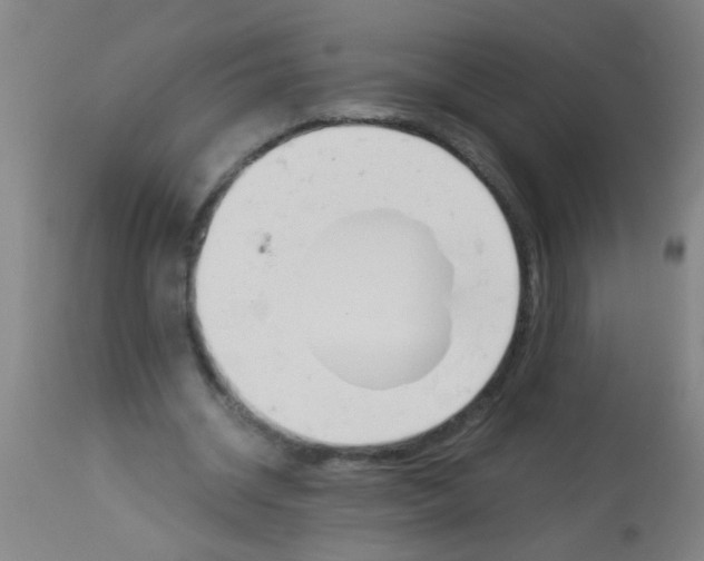 X0000113170534200910161310